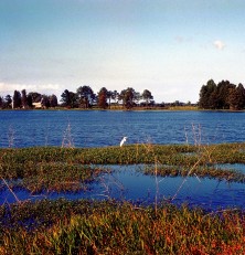 Hardeeville, South Carolina