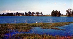 Hardeeville, South Carolina